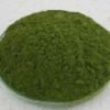 Moringa Powder 1/2lb - Dried Moringa Leaf Powder 100% Pure Gluten Free - Image 3