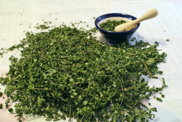 Moringa Dried Leaves 5 lbs.