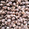 Moringa Seeds - Edible - with Shell - 100% Pure Gluten Free 10 lbs. - Image 6