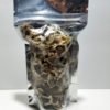 Moringa Seeds - Edible - with Shell - 100% Pure Gluten Free 10 lbs. - Image 3