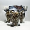 Moringa Seeds - Edible - with Shell - 100% Pure Gluten Free 10 lbs. - Image 4